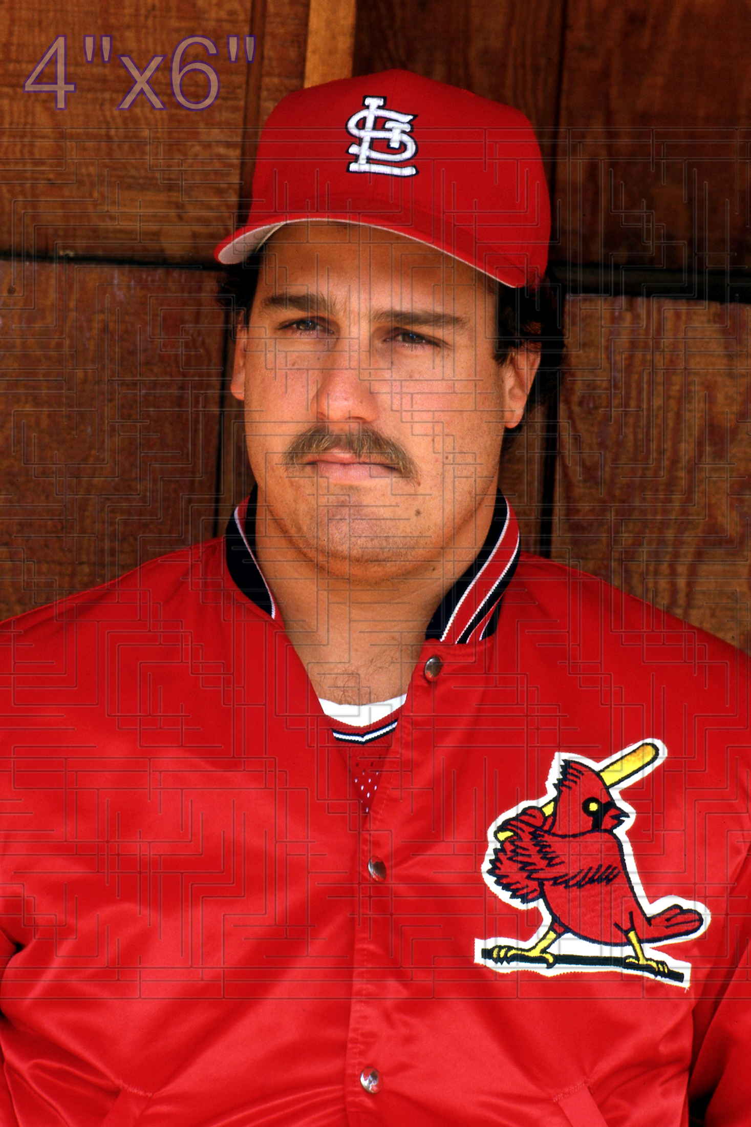 Scott Arnold (pose B) - 1988 St. Louis Cardinals - choose a size & style