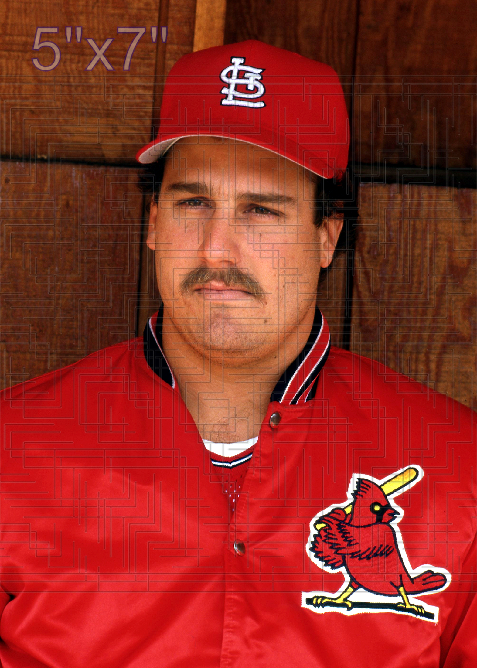 Scott Arnold (pose B) - 1988 St. Louis Cardinals - choose a size & style