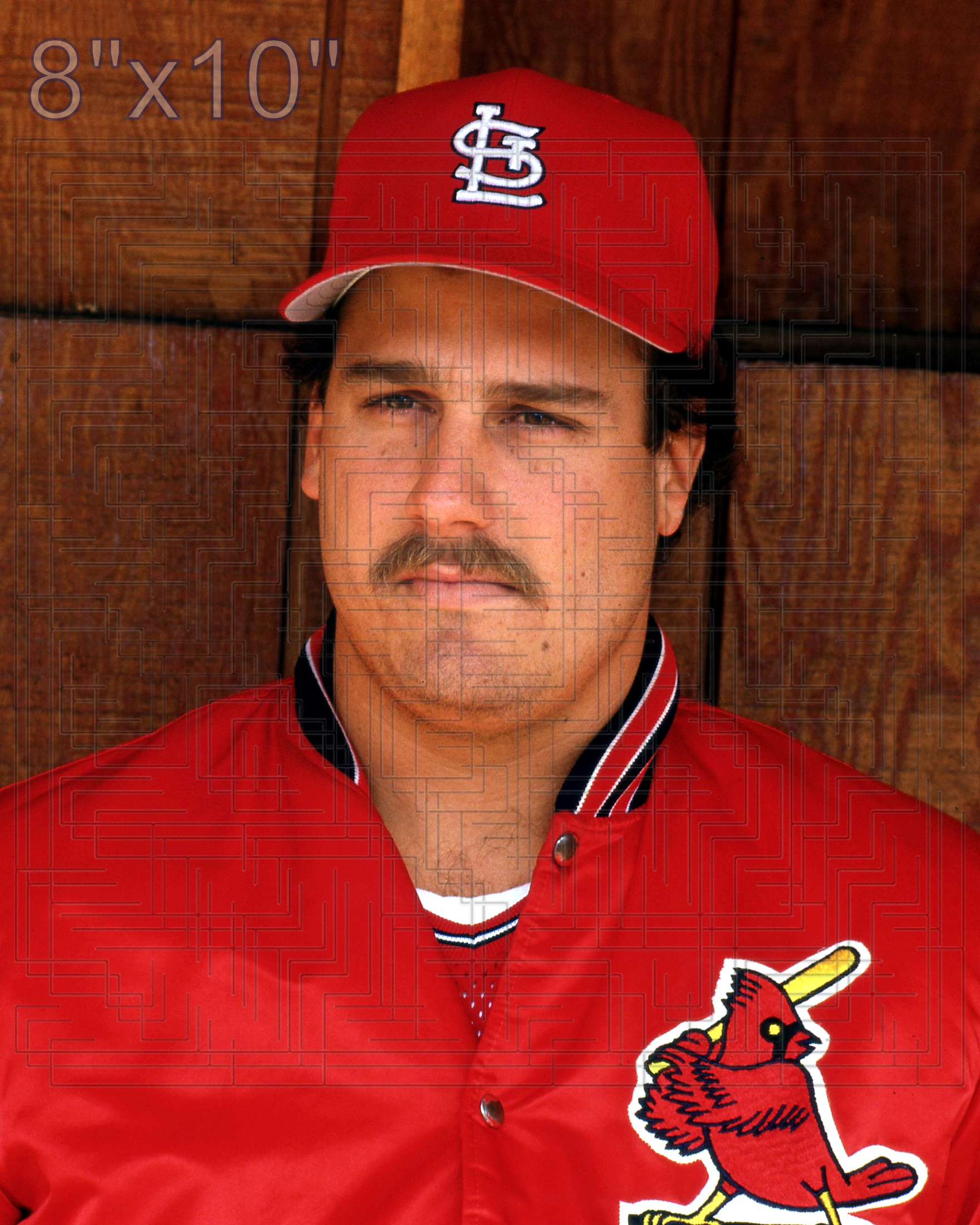Scott Arnold (pose B) - 1988 St. Louis Cardinals - choose a size & style
