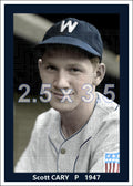 Scott Cary - 1947 Washington Senators - choose a size & style