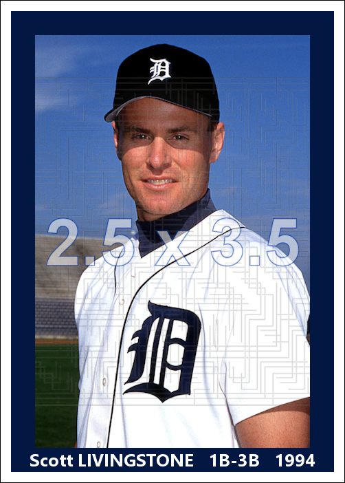 Scott Livingstone - 1994 Detroit Tigers - choose a size & style