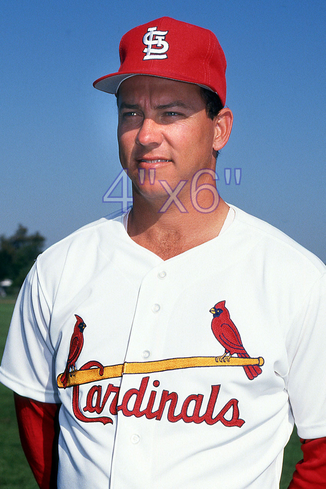 Scott Terry - 1991 St. Louis Cardinals - choose a size & style
