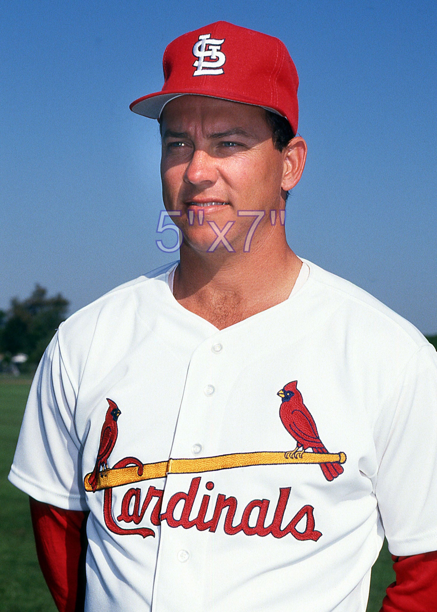 Scott Terry - 1991 St. Louis Cardinals - choose a size & style