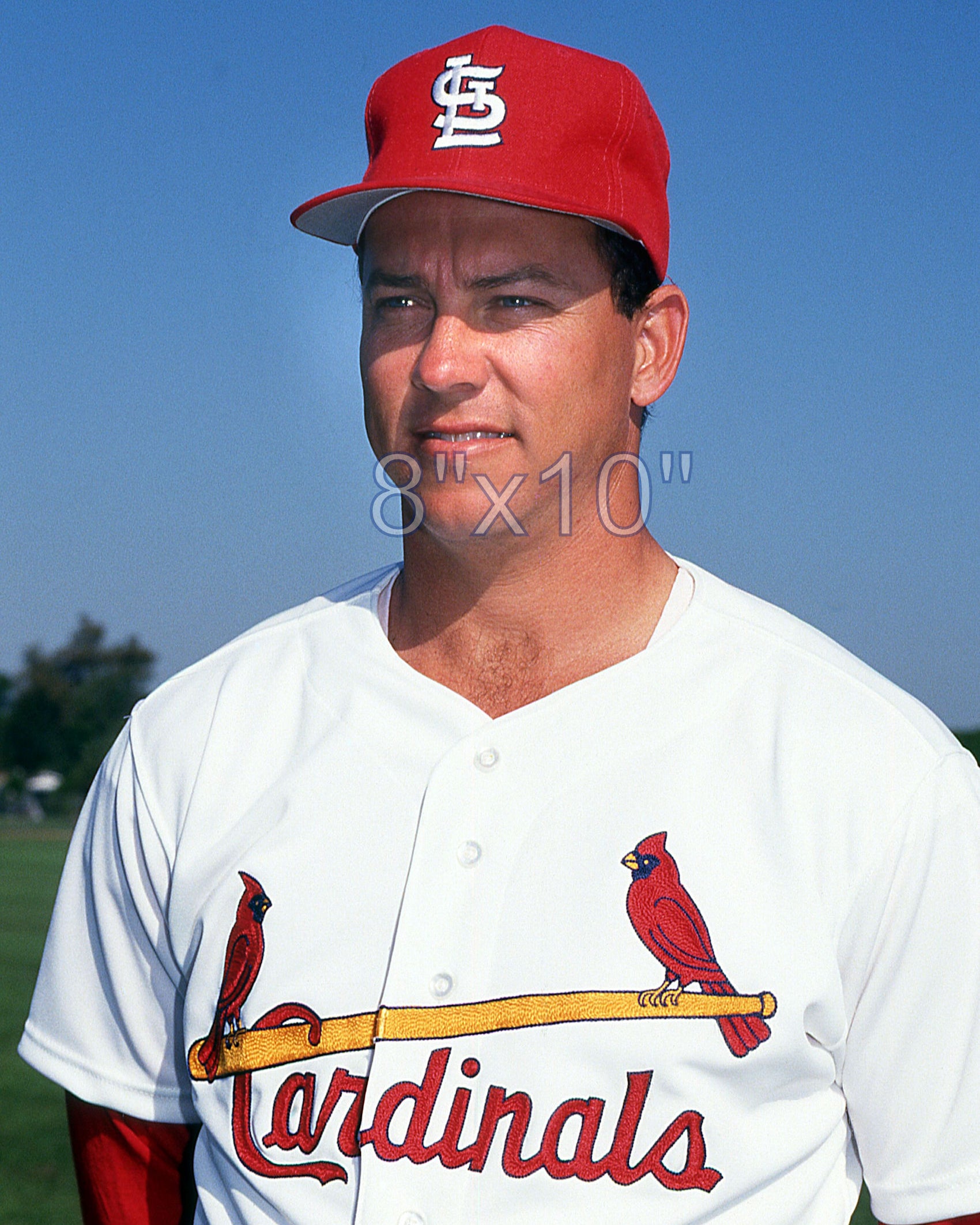 Scott Terry - 1991 St. Louis Cardinals - choose a size & style