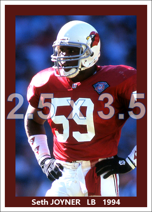 Seth Joyner - 1994 Arizona Cardinals - choose a size & style
