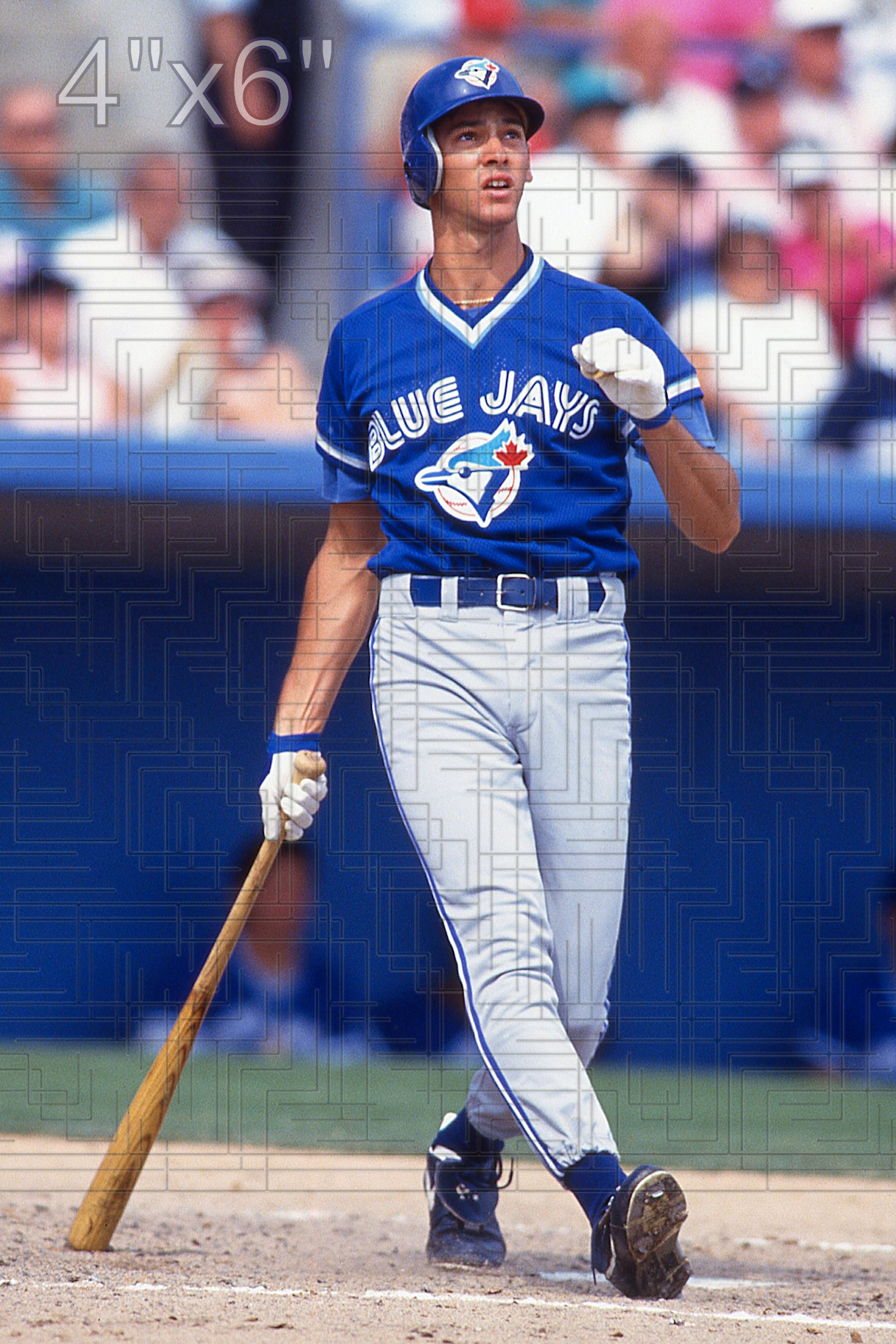 Shawn Green - 1993 Toronto Blue Jays - choose a size & style
