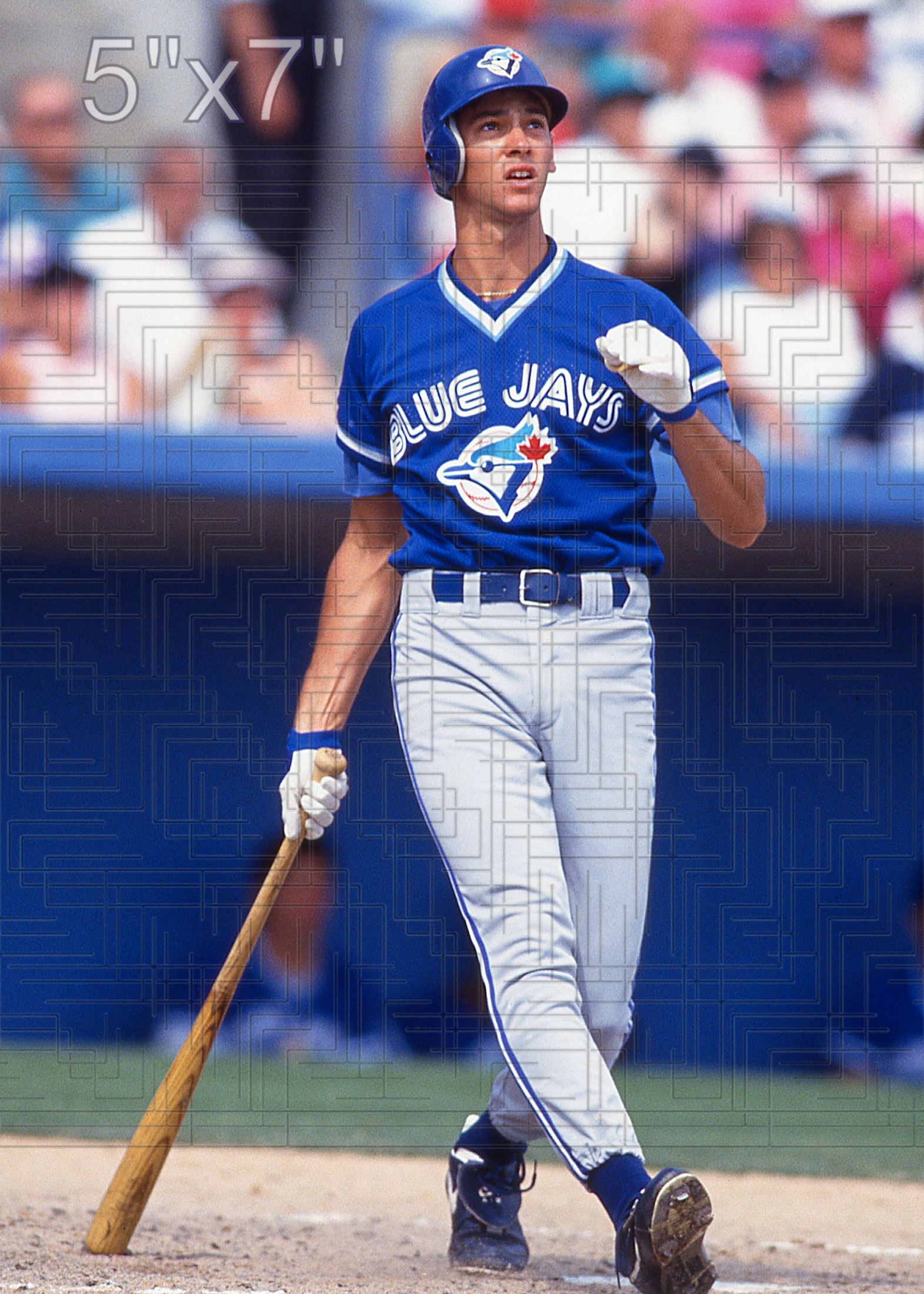 Shawn Green - 1993 Toronto Blue Jays - choose a size & style