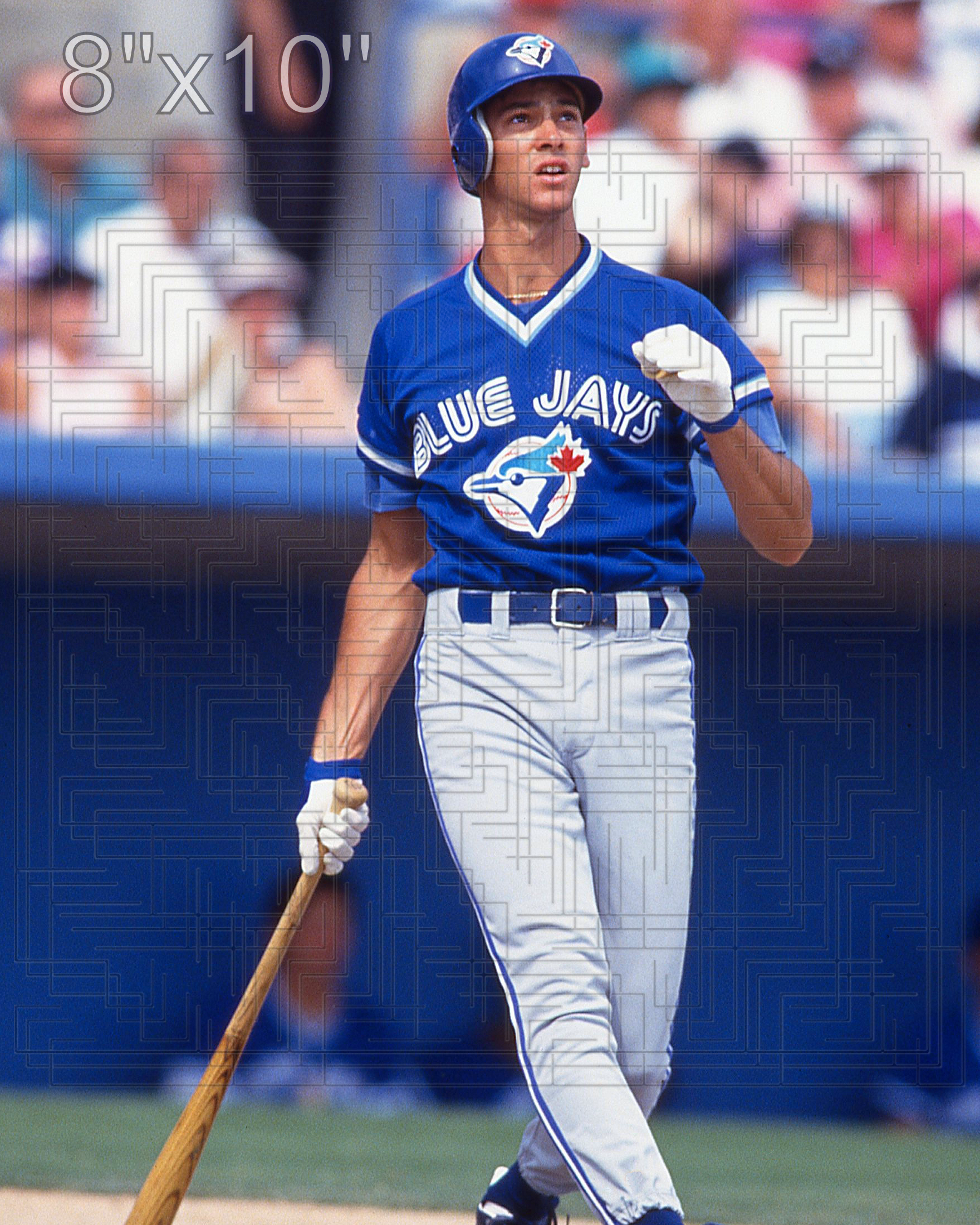 Shawn Green - 1993 Toronto Blue Jays - choose a size & style