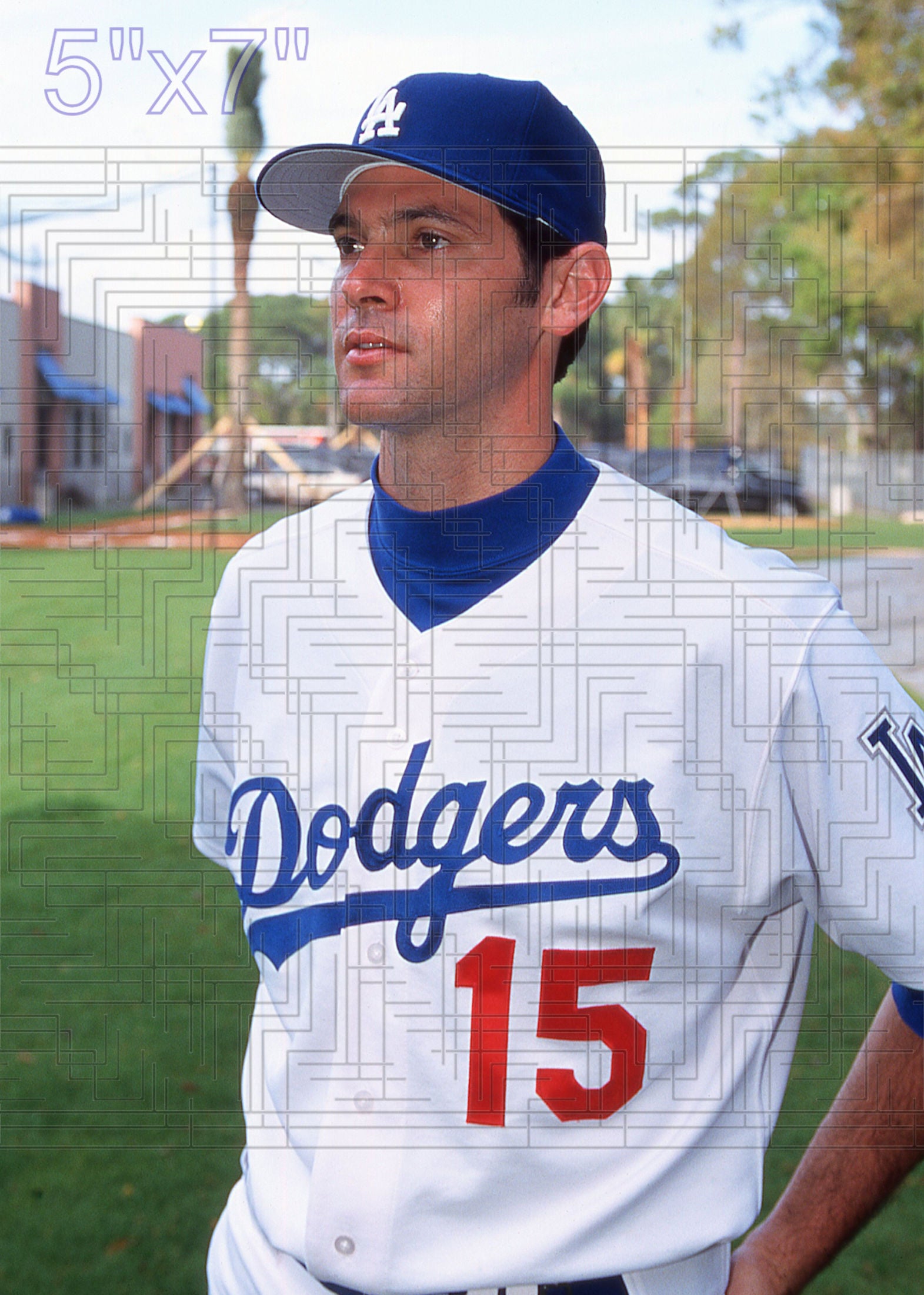 Shawn Green - 2003 Los Angeles Dodgers - choose a size & style