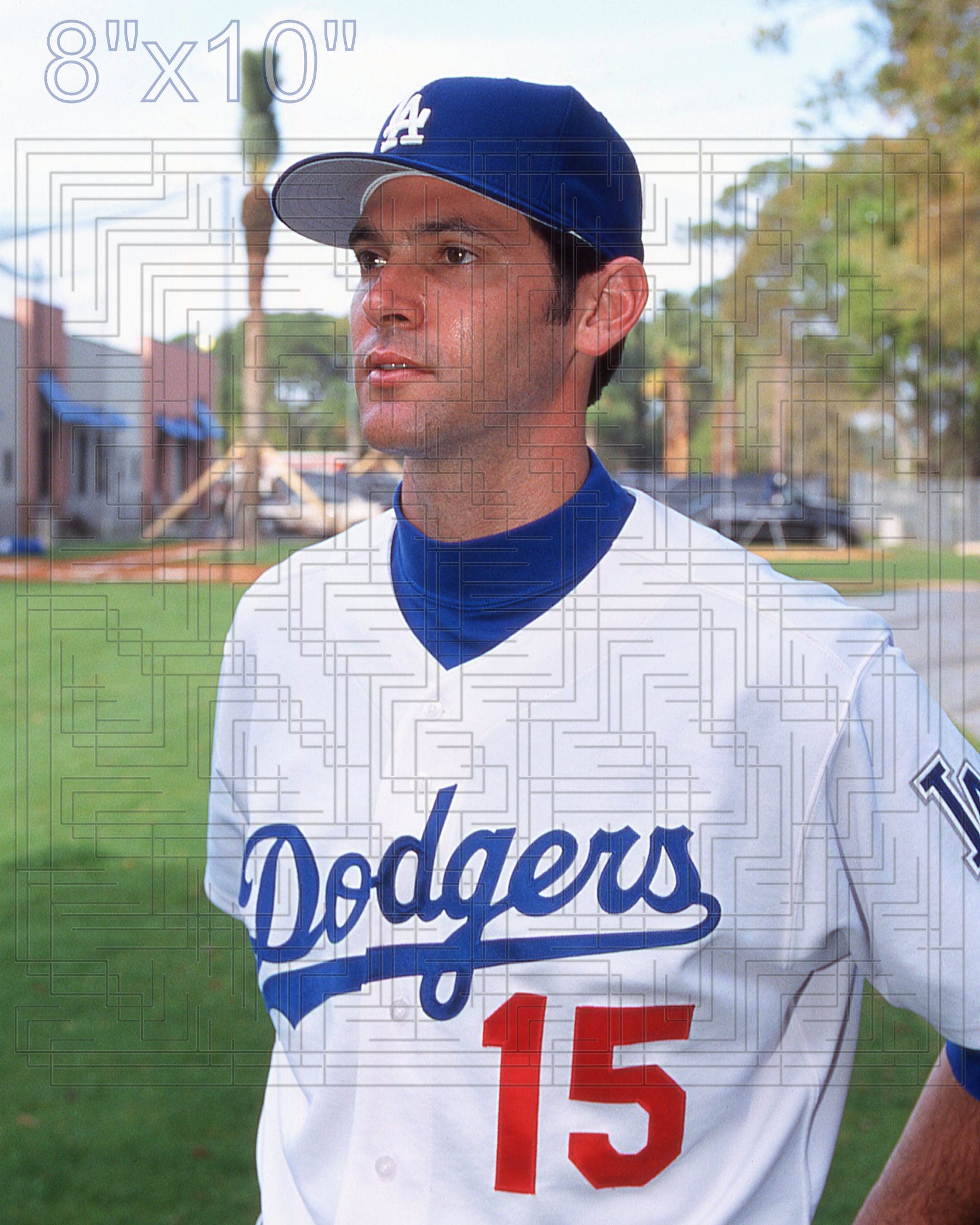 Shawn Green - 2003 Los Angeles Dodgers - choose a size & style