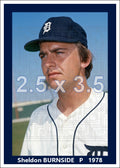 Sheldon Burnside - 1978 Detroit Tigers - choose a size & style