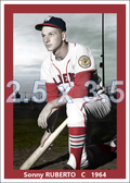 Sonny Ruberto - 1964 Winnipeg Goldeyes - choose a size & style