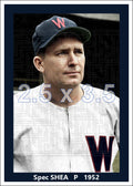 Spec Shea - 1952 Washington Senators - choose a size & style
