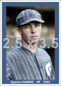 Spence Harris - 1925 Chicago White Sox - choose a size & style