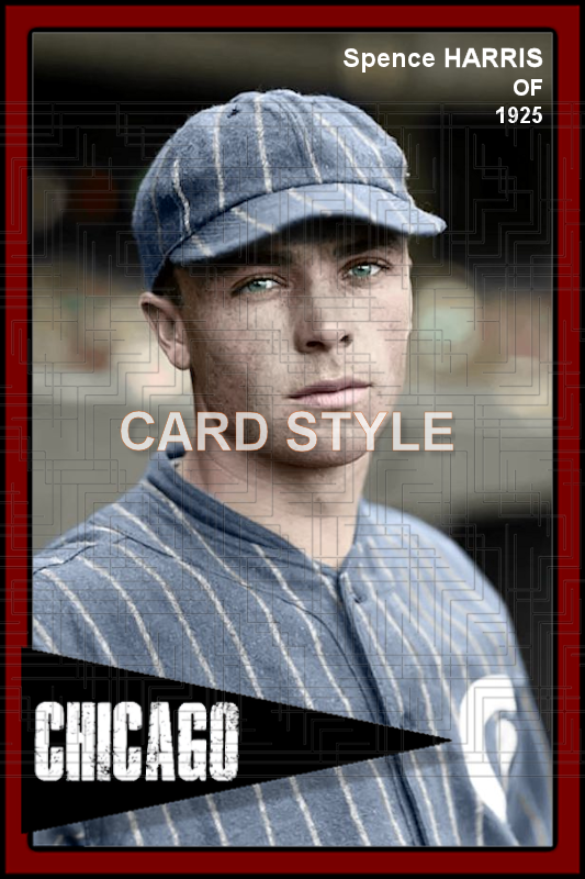 Spence Harris - 1925 Chicago White Sox - choose a size & style
