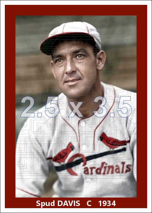 Spud Davis - 1934 St. Louis Cardinals - choose a size & style