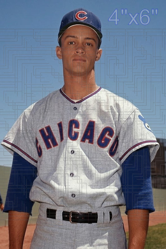 Sterling Slaughter - 1964 Chicago Cubs - choose a size & style