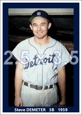 Steve Demeter - 1959 Detroit Tigers - choose a size & style