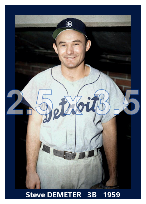 Steve Demeter - 1959 Detroit Tigers - choose a size & style
