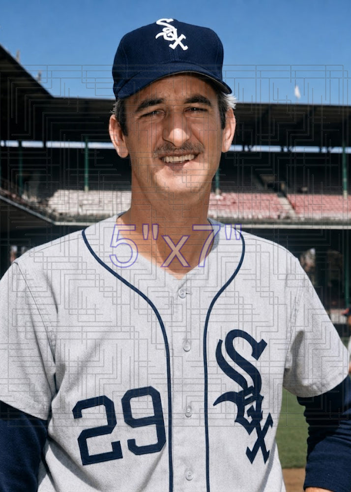 Steve Hamilton - 1970 Chicago White Sox - choose a size & style