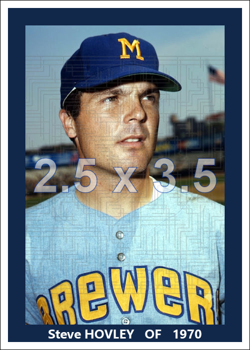 Steve Hovley - 1970 Milwaukee Brewers - choose a size & style