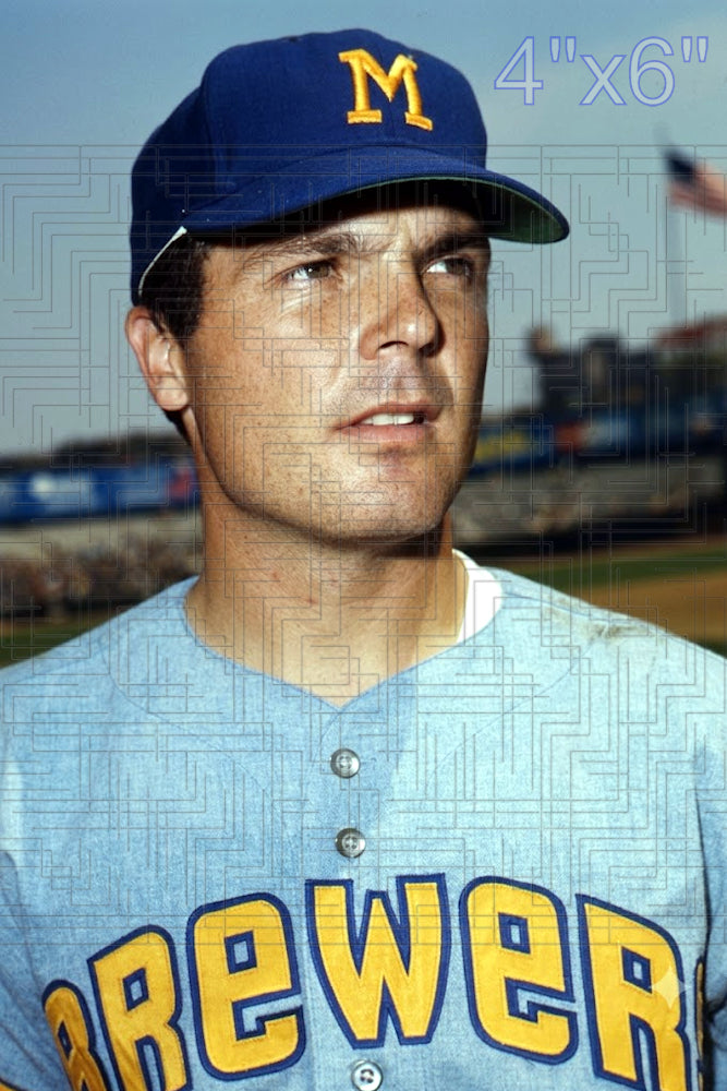 Steve Hovley - 1970 Milwaukee Brewers - choose a size & style