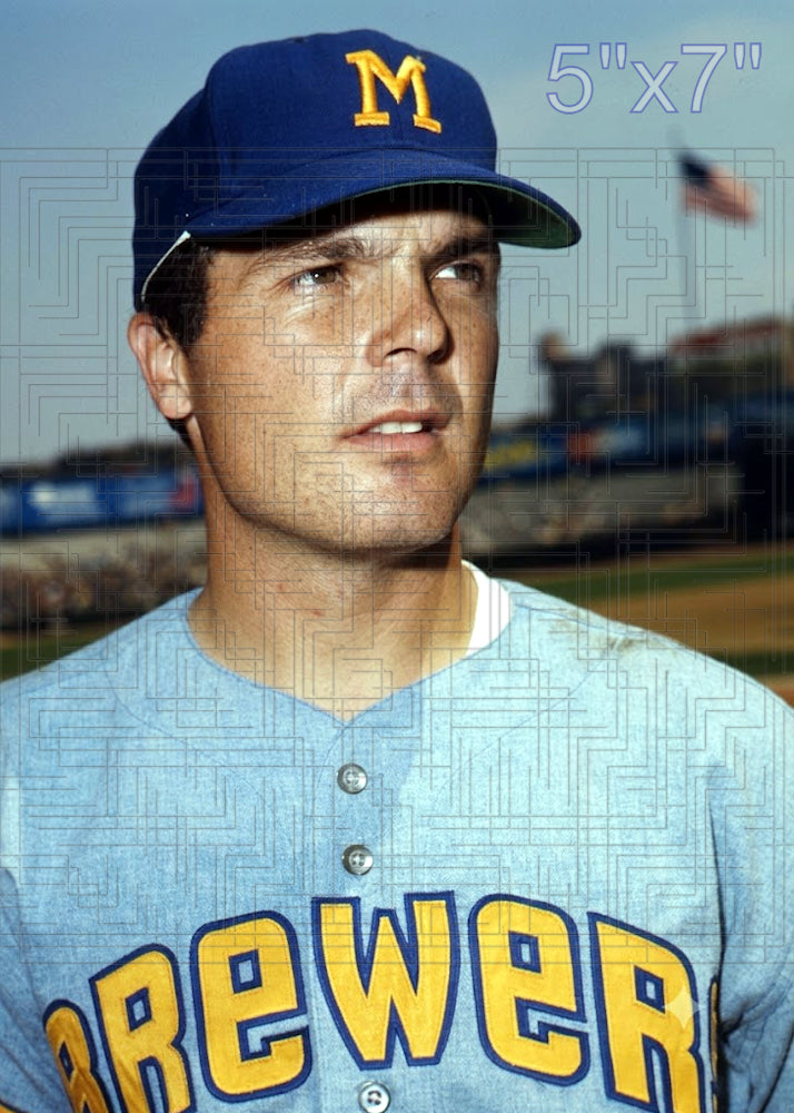 Steve Hovley - 1970 Milwaukee Brewers - choose a size & style