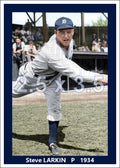 Steve Larkin - 1934 Detroit Tigers - choose a size & style
