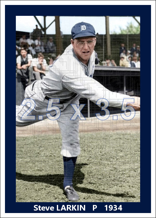 Steve Larkin - 1934 Detroit Tigers - choose a size & style