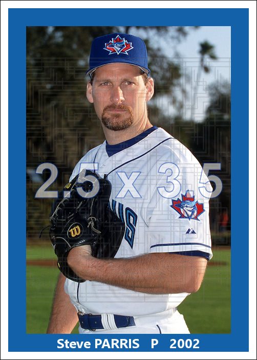 Steve Parris - 2002 Toronto Blue Jays - choose a size & style