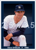 Steve Shields - 1988 New York Yankees - choose a size & style