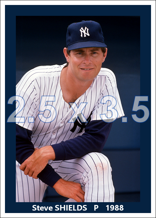 Steve Shields - 1988 New York Yankees - choose a size & style