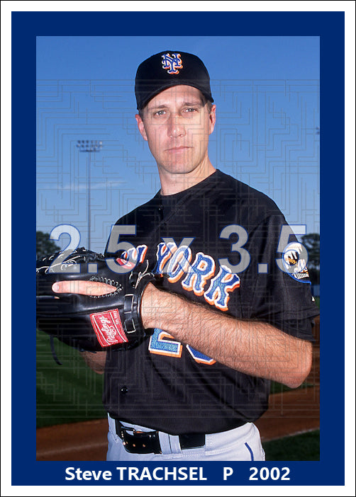Steve Trachsel - 2002 New York Mets - choose a size & style
