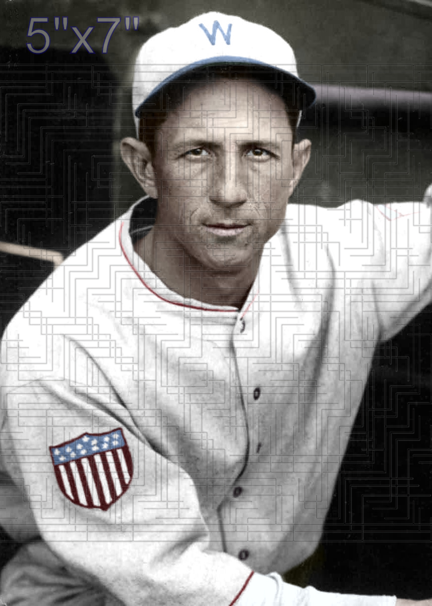 Stuffy Stewart - 1926-17 Washington Senators - choose a size & style