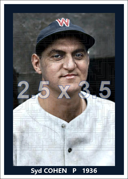Syd Cohen - 1936 Washington Senators - choose a size & style