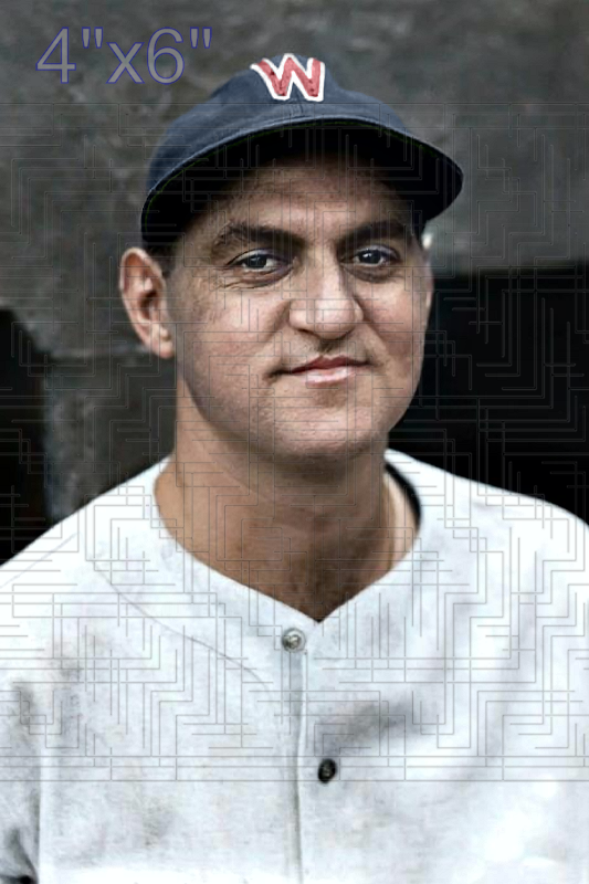 Syd Cohen - 1936 Washington Senators - choose a size & style