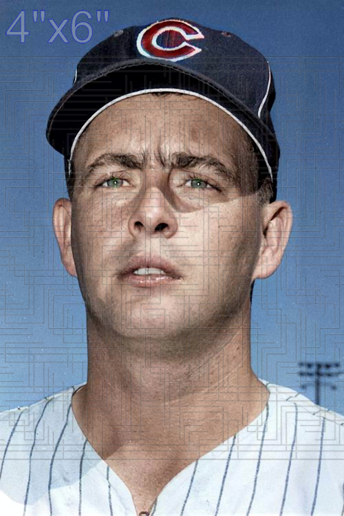 Taylor Phillips - 1958 Chicago Cubs - choose a size & style