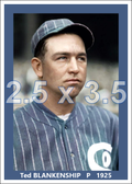 Ted Blankenship - 1925 Chicago White Sox - choose a size & style