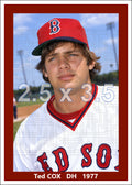 Ted Cox - 1977 Boston Red Sox - choose a size & style