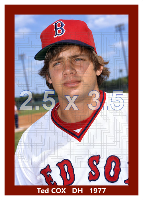 Ted Cox - 1977 Boston Red Sox - choose a size & style