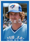 Ted Cox - 1981 Toronto Blue Jays - choose a size & style