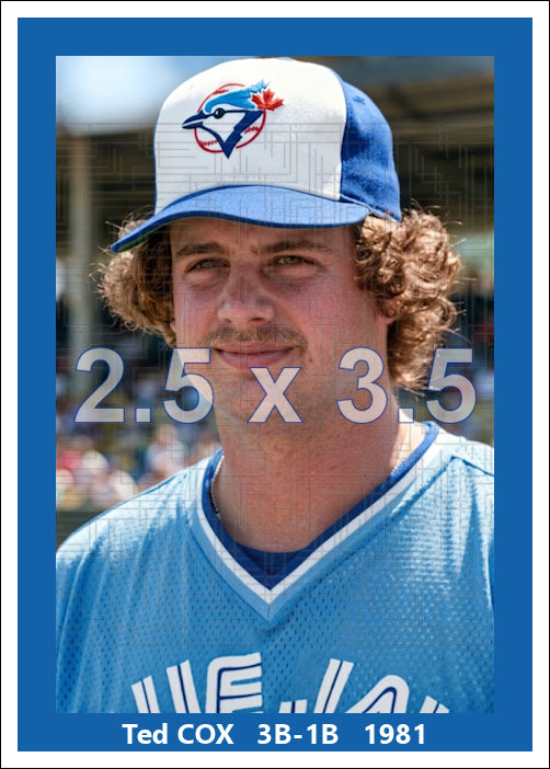 Ted Cox - 1981 Toronto Blue Jays - choose a size & style