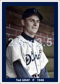 Ted Gray - 1946 Detroit Tigers - choose a size & style