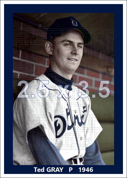 Ted Gray - 1946 Detroit Tigers - choose a size & style
