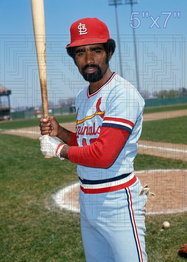 Ted Martinez - 1975 St. Louis Cardinals - choose a size & style