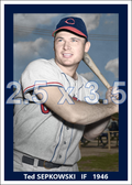 Ted Sepkowski - 1946 Cleveland Indians - choose a size & style