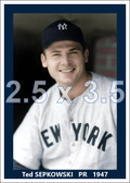 Ted Sepkowski - 1947 New York Yankees - choose a size & style