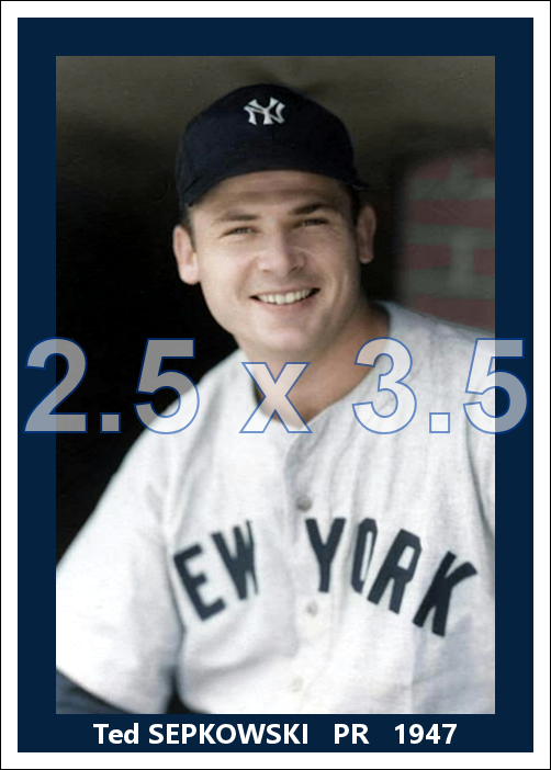 Ted Sepkowski - 1947 New York Yankees - choose a size & style