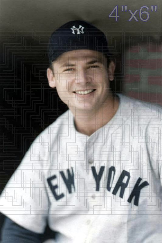 Ted Sepkowski - 1947 New York Yankees - choose a size & style