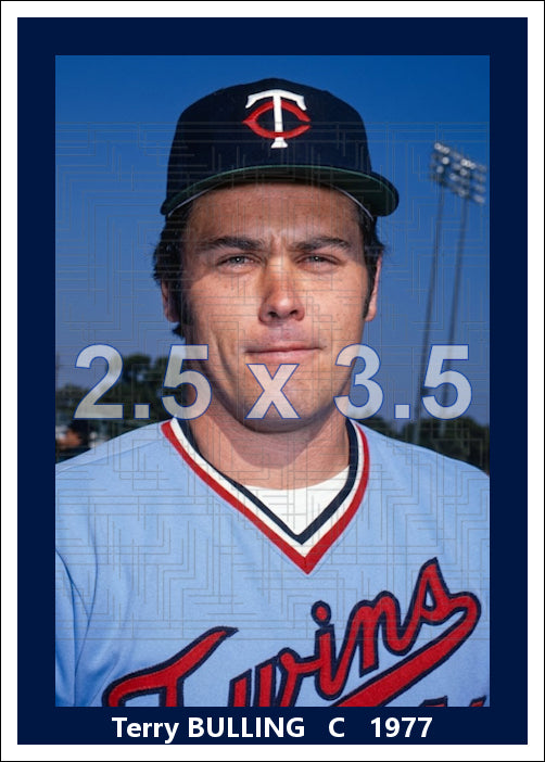 Terry Bulling - 1977 Minnesota Twins - choose a size & style